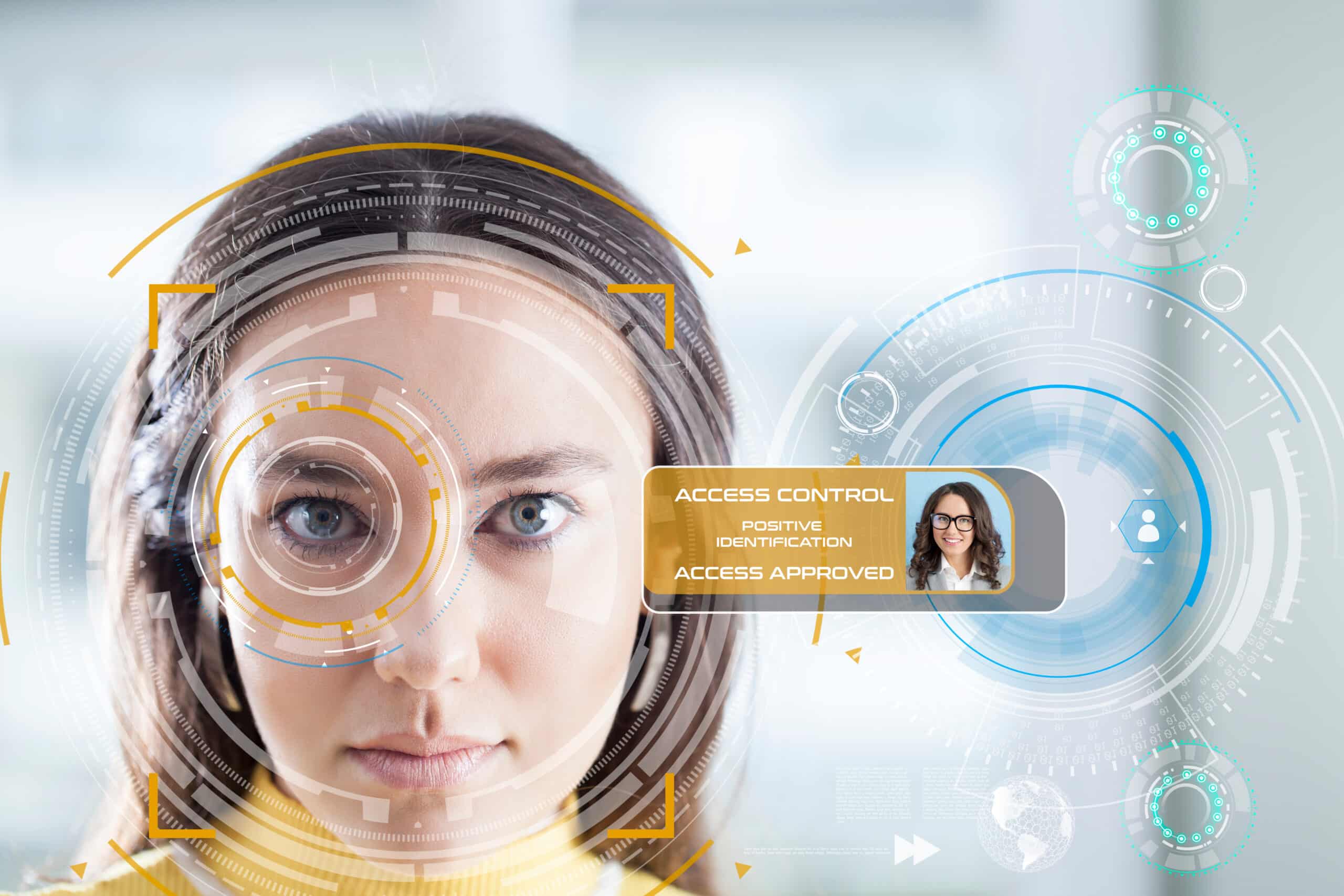 Iris recognition system