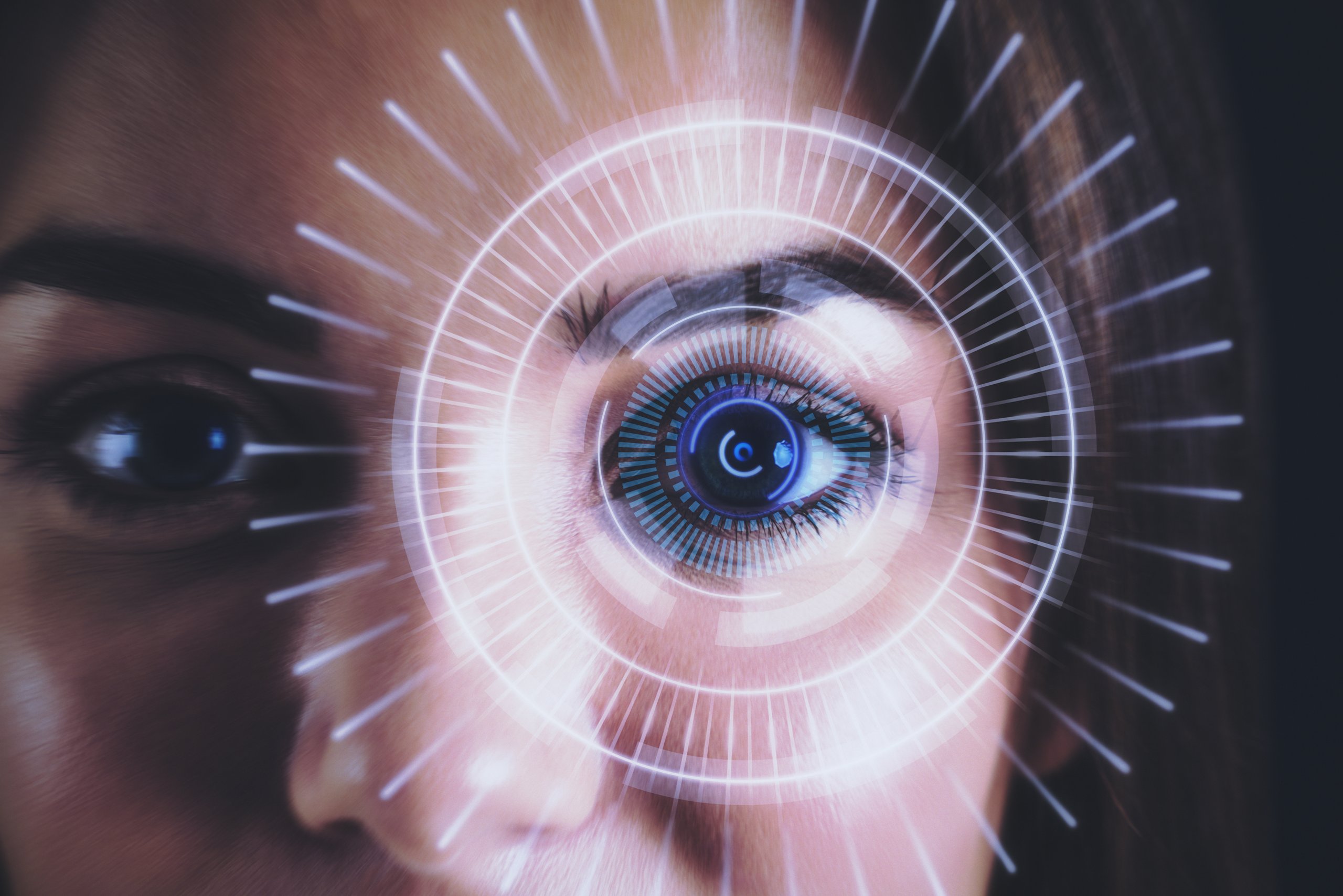 Iris recognition scan of a human eye