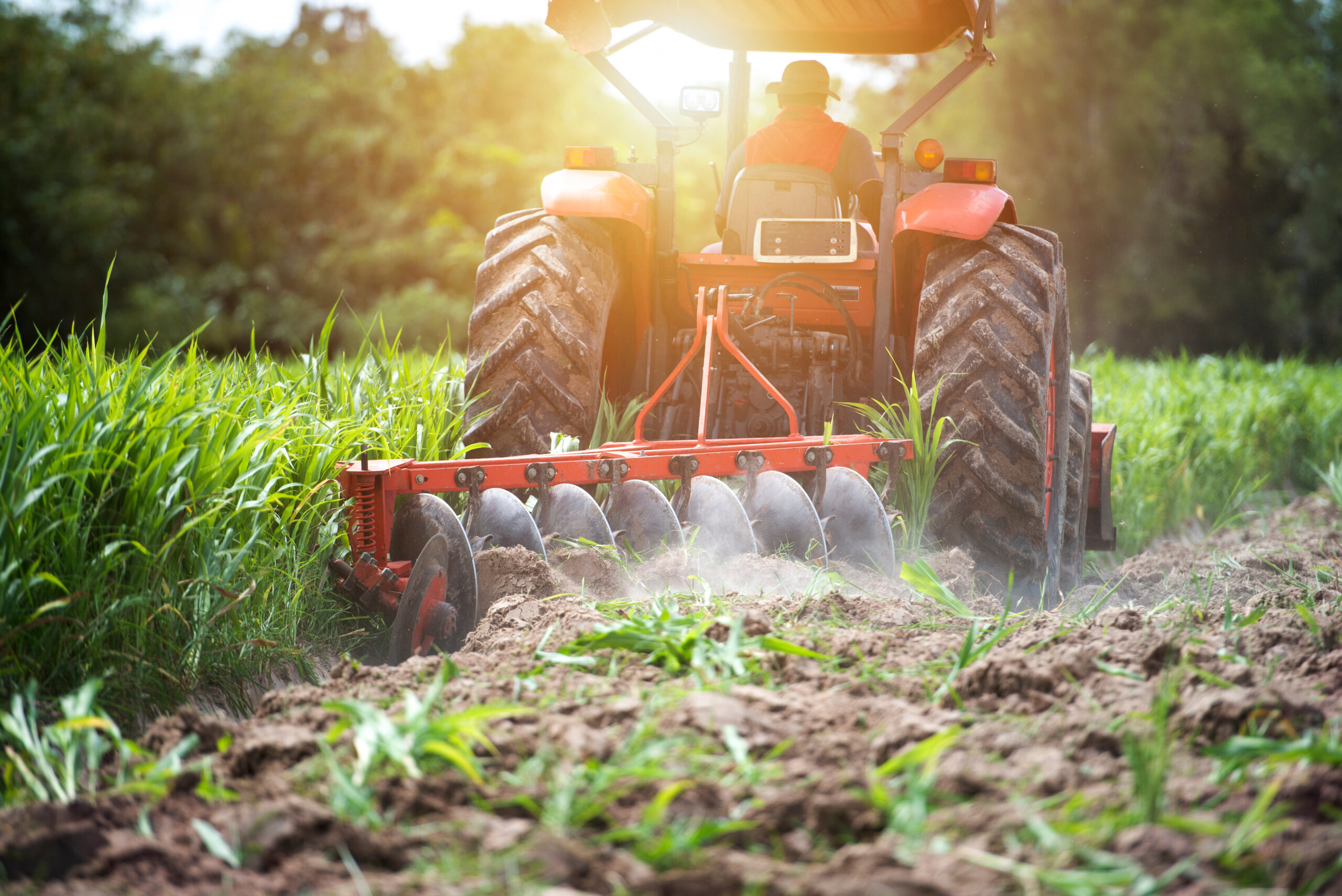 Agriculture